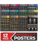 12-Pack Large Workout Poster Set - Home Gym Exercise Charts for Dumbbell, Yoga, Resistance Band, Kettlebell & More - Buy Online on GoSupps.com