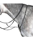 Collegiate Running Martingale IV Black Warmblood Warmblood Black - Buy Online on GoSupps.com