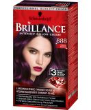 Brilliance Intensiv Color Creme 888 Dunkle Kirsche - 3 Pack (3 x 143 ml) | International Shipping Available - Buy Online on GoSupps.com
