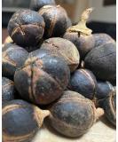 GORONTULA Fruit Azanza Garckeana Organic Sweet Silky Snot Apple Kayamata Various Sizes 30 Pieces - Buy Online on GoSupps.com