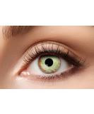Eyecatcher 84115141.981 Colored Contact Lenses - Multicolored 12-Month Wear for Carnival Mardi Gras & Halloween - Buy Online on GoSupps.com