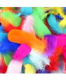 HaiMay 450 Pcs 3-5 Colorful Craft Feathers for Wedding, Home & Party Decor - 10 Colors - Buy Online on GoSupps.com