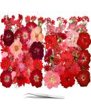 25 Types 83PCS Red Dried Pressed Flowers for Resin - Youthbro Real Nature Flowers Herb Set for DIY Jewelry Candle Soap Vase Making Nail Card Scrapbook Art Craft Floral Decors 2packs red - Buy Online on GoSupps.com