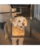 PetSafe Small Pet Screen Door - Dog and Cat Door for Screen Door, Window, and Porch - Buy Online on GoSupps.com
