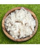 Bean Products Premium Kapok Fill - 1 lb | 100% Organic & Hypoallergenic Fiber for Pillows, Pet Beds, Couches - Chemical Free | Made in USA - Buy Online on GoSupps.com