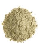 Wheat Grass Juice Powder - 250g | Pure and Organic Superfood Supplement - Buy Online on GoSupps.com