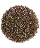 Heather Flowers and Leaves - Heather Flowers Tea Heather Flowers and Leaf Tea Heather Flower Heather Leaves Heatherflower Leaf 100g - Buy Online on GoSupps.com