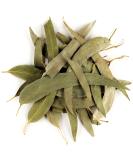 Buy Organic Eucalyptus Leaf Tea - 50g Biodegradable Herbal Tea for Health | Free International Shipping - Buy Online on GoSupps.com