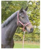 Kerbl Nylon Halter for Hippo Pony & Shetty - Full Cob & XFull Sizes in 6 Colors Including 3 Reds | Durable & Adjustable - Buy Online on GoSupps.com