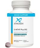XYMOGEN 5-MTHF Plus B12 - Biologically Active Folate + Methyl B12 for Methylation & Nervous System Health - Cherry Flavor (60 Tablets) - Buy Online on GoSupps.com