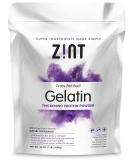Zint Premium Beef Gelatin Powder - 16 oz Protein Thickener for Recipes - Buy Online on GoSupps.com