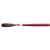Andrew Mack Brown Kazan Squirrel Hair Lettering Quill Series 179L Size 5
