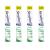 Active Fresh Denture Cleaning Tablets - Daily Denture Cleaning Home & Hatch Bundle of Steradent Tablets - Pack of Four