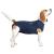 MPS Medical Pet Shirt Dog Surgery Recovery Suit Blue Small + Blue Small+ (plus)