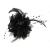 Flower Feather Bead Corsage Hair Clips Fascinator Hairband and Pin (Black)