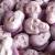 Jelly Filled Skulls 500g Share Bag by The Gourmet Sweet Company