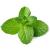 Fresh Mint Leaf Bunch | Double Bunch | Vegetarian | Mint Indian herb | Fresh Leaf | Fresh Mint Leaves | Indian Origin | Approx 250-300g| Next Day Shipping By Seelans