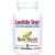 NEW ROOTS HERBAL Support Balanced Intestinal Flora, Oregano, Echinacea, Botanical Complex for Men and Women, Digestion Relief | 90 Capsules