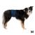 Trixie belly band for male dogs 45-55 cm dark blue