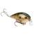 Strike King KVD 1.5 Shallow Square Bill Crankbait Natural Bream