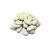 Butter Beans - 1.5kg