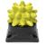 RumbleRoller BXA Extra Firm Beastie + Base Extra Firm Beastie Ball + Base, Green