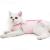 Dotoner Katzenbody After op anti-trolley for cat body operation skin disease recovery body cat clothing after castration e-neck band Alternative for cats dogs (s rose) s rose
