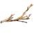 Exo Terra Forest Branch Reptile Terrarium Decoration