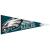 Wincraft NFL 14525115 Philadelphia Eagles Premium Wimpel 30 5 x 76 2 cm