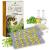 Oreganic Plus Mastic  Organic Wild Oregano Oil Capsules & Mastic Gum Oil  Immune Defense, Intestinal Support, Stomach Relief, Gut Restore, Kids Immune Support  30 Pack