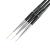 Winstonia Striping Nail Art Brushes for Long Lines Details Fine Designs. 3 pcs Striper Brushes Set - AMAZING TRIO