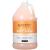 Ginger Lily Farms Club & Fitness Nourishing Body Wash  100% Vegan & Cruelty-Free  Bath & Shower Gel for Men and Women  Citrus Scent  1 Gallon (128 fl. oz.) Refill 128 Fl Oz (Pack of 1)