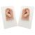 2 Pcs Silicone Ear Model  with Acrylic Stand Left and Right Soft Flexible Model Fake Ear Piercing Practice  Silicone Body Parts  for Jewelry Earring Display Impression Taking Practice