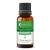 Peppermint Essential Oil Pure and Natural 10ml 10 ml (Pack of 1)