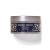 Bath and Body Works Dream Bright Body Care 24+ Hours Moisture Body Butter - With Shea & Coco Butter - 6.5 oz (Dream Bright)