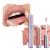 Runway Rogue Silk Glam Liquid Lipstick  Long-Wear Soft Frosted-Peach Liquid Lipstick  Paparazzi 1 Fl Oz (Pack of 1) Paparazzi