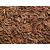 Spicy World Caraway Seeds 5 Pound Bulk Bag