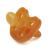 Gr npecht organic pacifier made of natural rubber BPA free without dyes jaw-friendly suction part soft shield size 2: 6-18 months (671-V1)