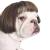 Funny Dog Cat Cosplay Wig,Pet Wigs for Halloween, Christmas, Parties, Festivals, Dog Wigs for Small Medium and Large Dogs (Black Brown Straight) Black Brown Straight Hair