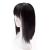 Remeehi Top Hair Piece Straight Synthetic Clip In Hairpiece Top Hair with Bangs for Women Thin Nature Black