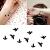 Oottati Small Cute Temporary Tattoo Black Bird (Set of 2)