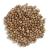 Frontier Co-op Coriander Seed Whole, Certified Organic, Kosher | 1 lb. Bulk Bag | Coriandrum sativum L.