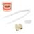 Gold Tooth Grillz Silver Teeth Grillsplate Teeth Brace Fashionable Metal Tease Decoration Jewelry For Halloween PartyGold (gold -colored)