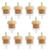 Minkissy 10Pcs Microdermabrasion Filter Diamond Microdermabrasion Vacuum Replacement Filter for Vacuum Therapy Microdermabrasion Machines