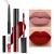 AMY'S DIARY 2pcs Matte Dark Red Lip Liner and Lipstick Makeup Set  Liquid Lipstick 24H and Lip Liner Set Matt Liquid Lips Make Up Waterproof Long Lasting Lipstick Matte Kit with Lip liner kit (02) B15