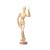 8 Inch Artists Wooden Manikin Flexible Body Joints Human Figure Puppet Toys Model Wood Male Mannequin Doll Ornament Stand for Home Office Desk Decoration Sketching Drawing Painting Supplies Gift 8 Inch Manikin