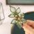 Casdre Flower Bridal Hair Clip Rhinestone Bride Wedding Hair Piece Crystal Hair Barratte Evening Party Hair Accessories for Women and Girls(B Green)