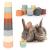 WALLFID 8 PCS Stacking Cups for Rabbits-Bunny Toys for Hiding Food and Playtime Fun BPA-Free Safe Plastic Pet Toys Multi-Coloured and Various Sizes (Morandi Colour)