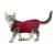 Cobee Professional recovery suit for cats in abdominal wounds or skin diseases kittens surgery recovery suit e-neck band alternative for cats and dogs after operations (size M red)