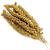 Millet Sprays x 200g (approx 5-8 sprays) Premium Cage Bird Food Seed SMD